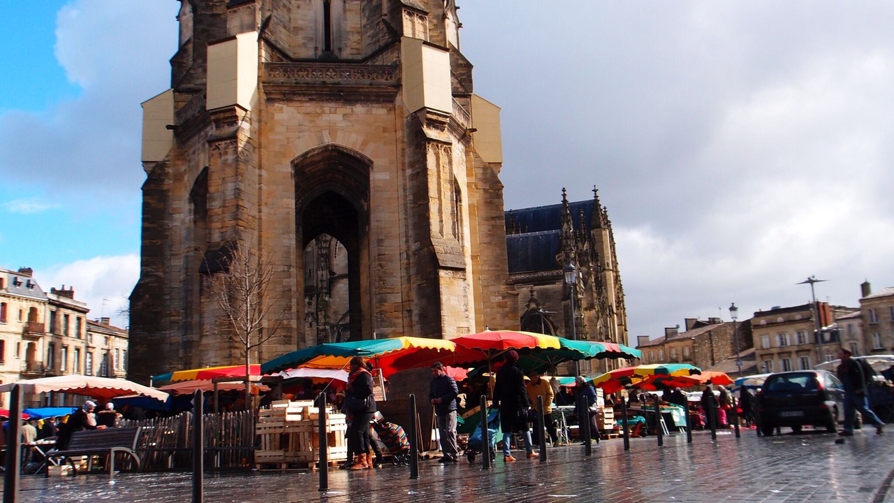 Photo of Others in Saint Genes