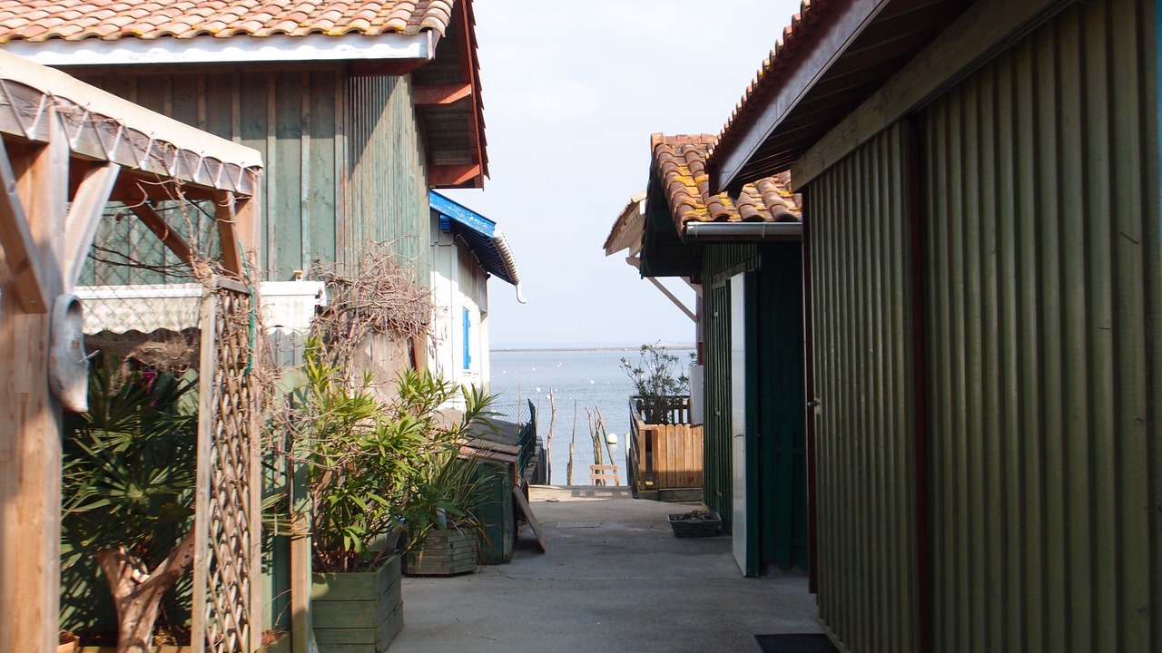 Photo of Others in Saint Genes