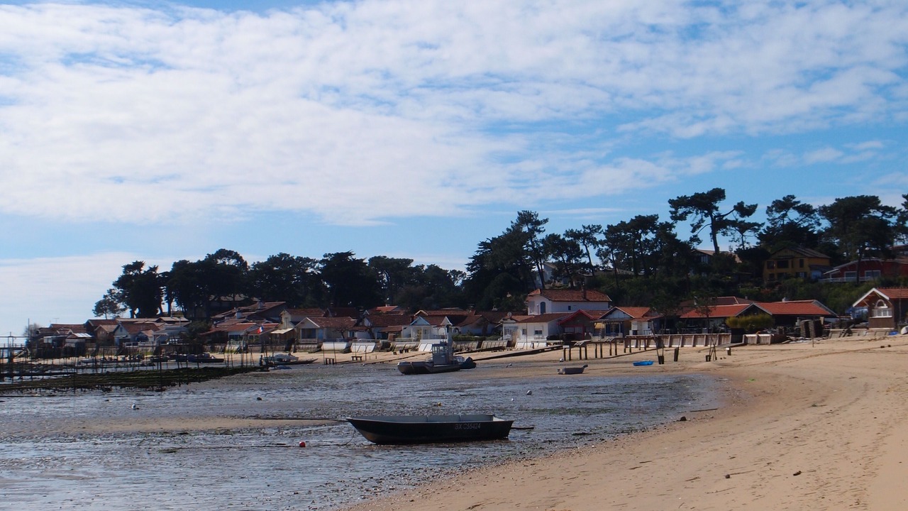 Photo of Others in Saint Genes