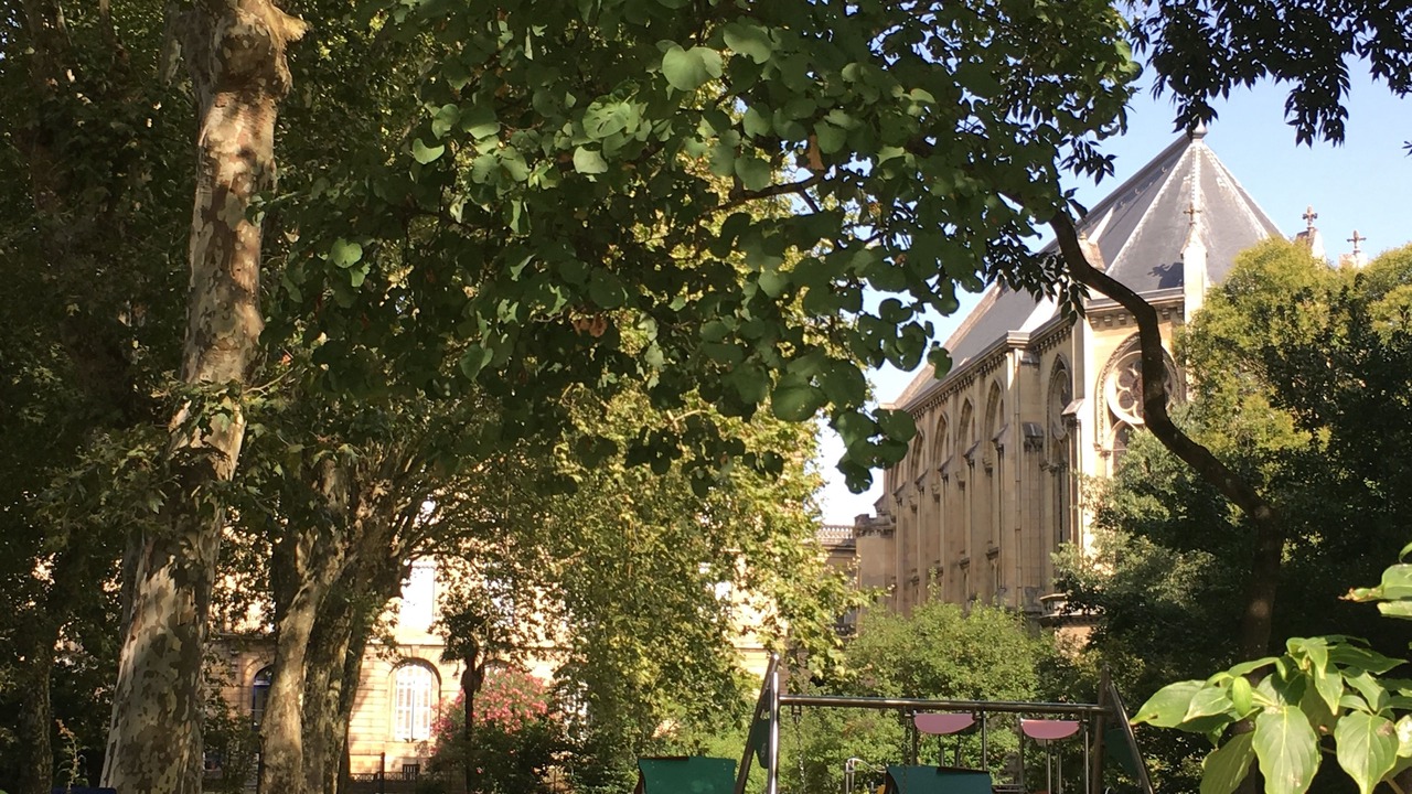 Photo of Others in Saint Genes