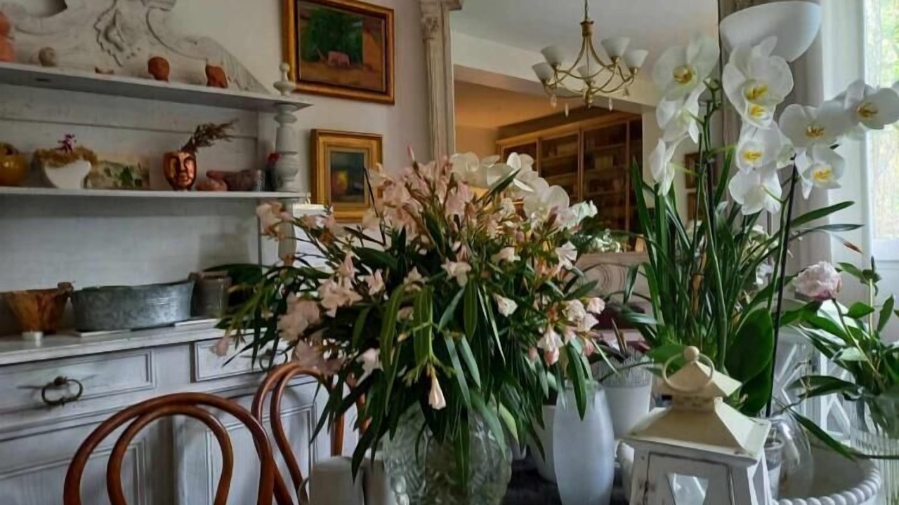 Photo of Others in Saint Genes