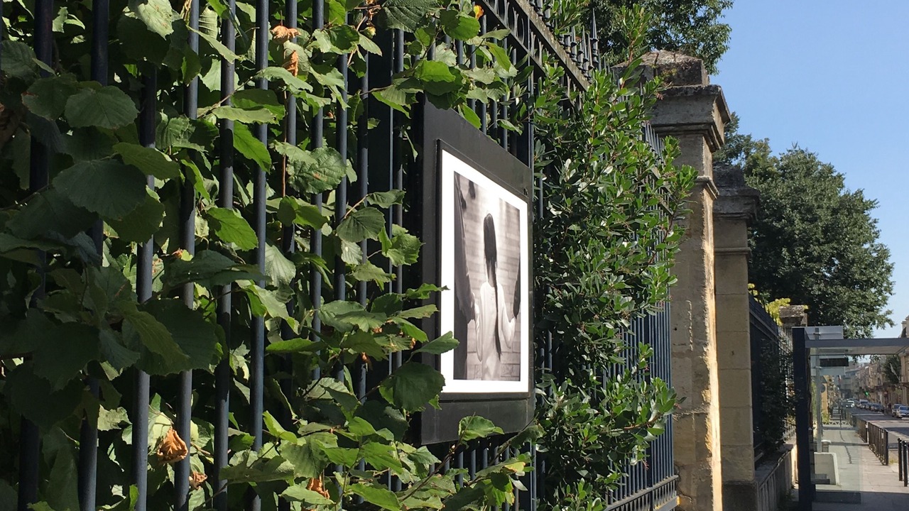 Photo of Others in Saint Genes