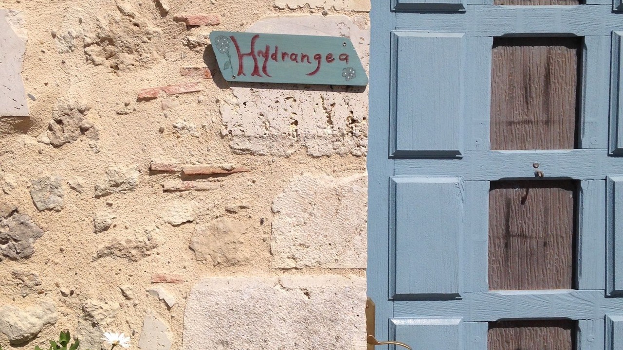 Photo of Outdoor in Sainte-Bazeille