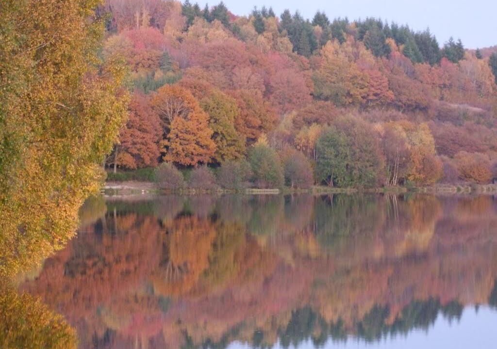 Photo of Outdoor in Saulieu