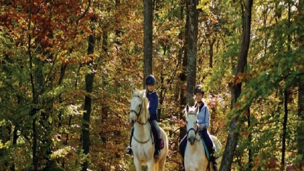 Photo of Others in Saulieu