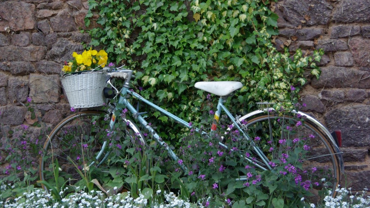 Photo of Outdoor in Iffendic