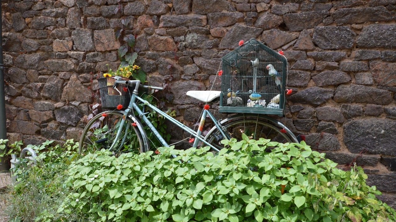 Photo of Outdoor in Iffendic