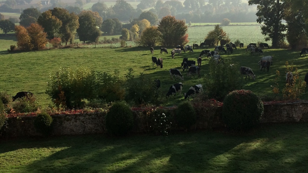 Photo of Bedroom in Saint-Germain-le-Guillaume