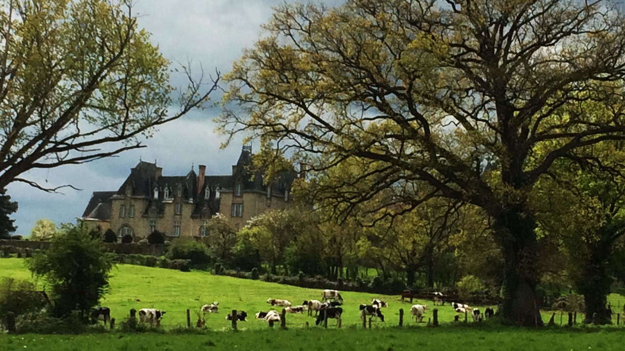 Photo of Outdoor in Saint-Germain-le-Guillaume
