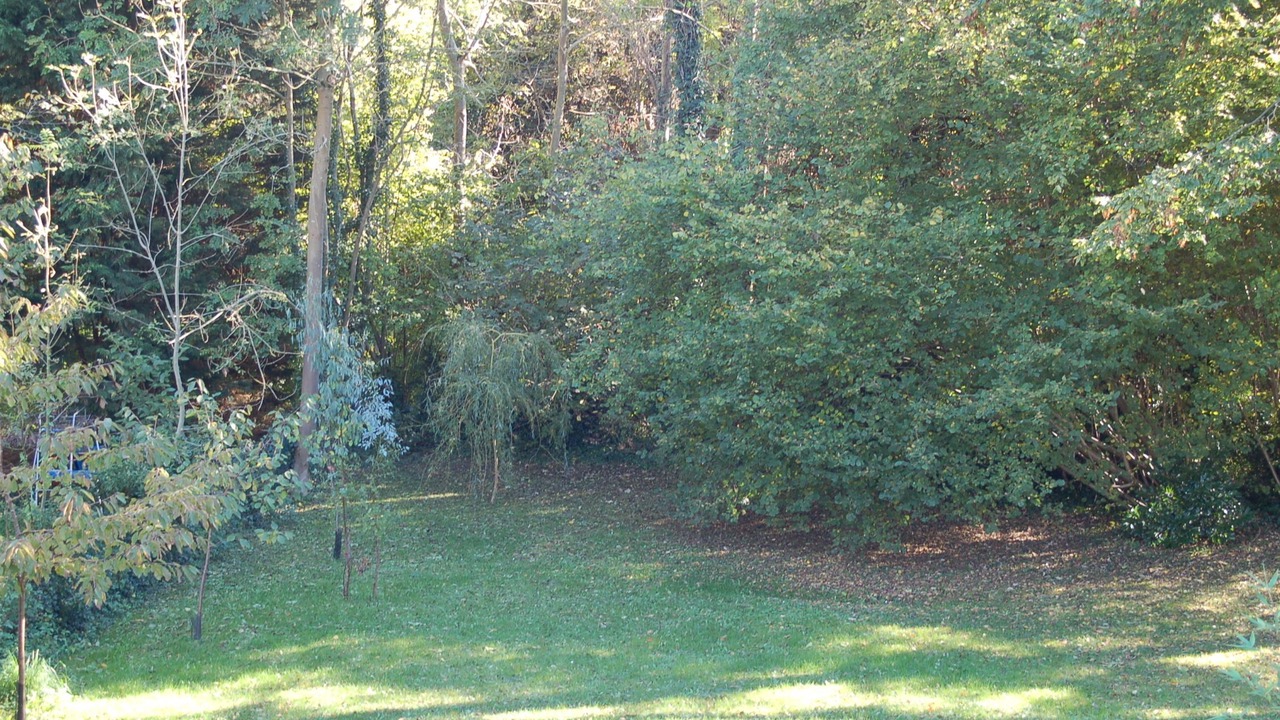 Photo of Outdoor in L'Etang-la-Ville