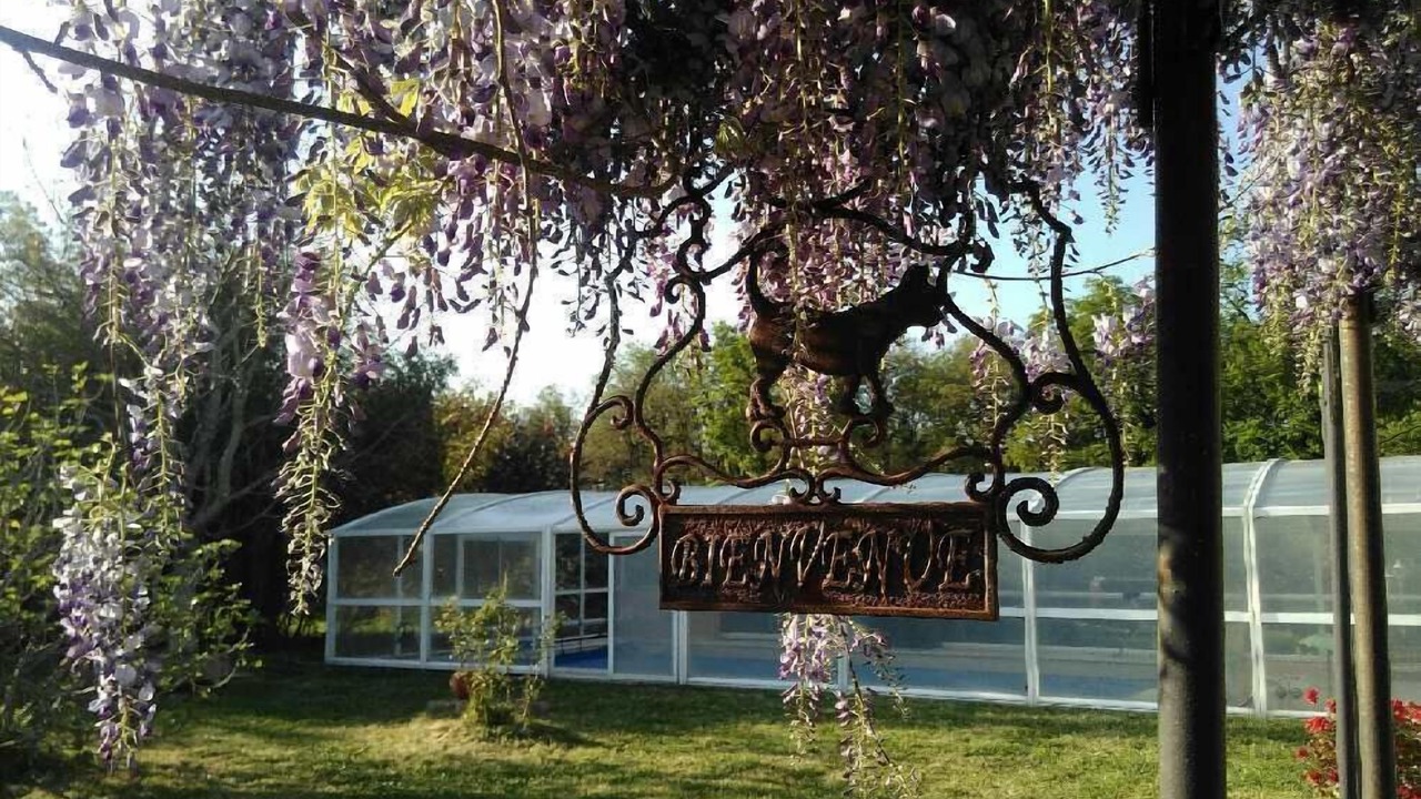 Photo of Outdoor in Athee-sur-Cher