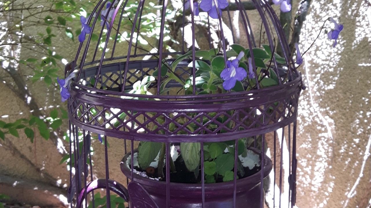 Photo of Outdoor in Donzere