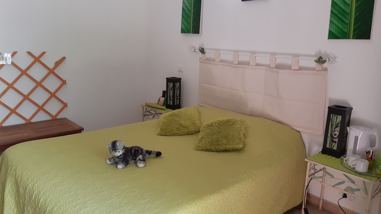Photo of Bedroom in Donzere