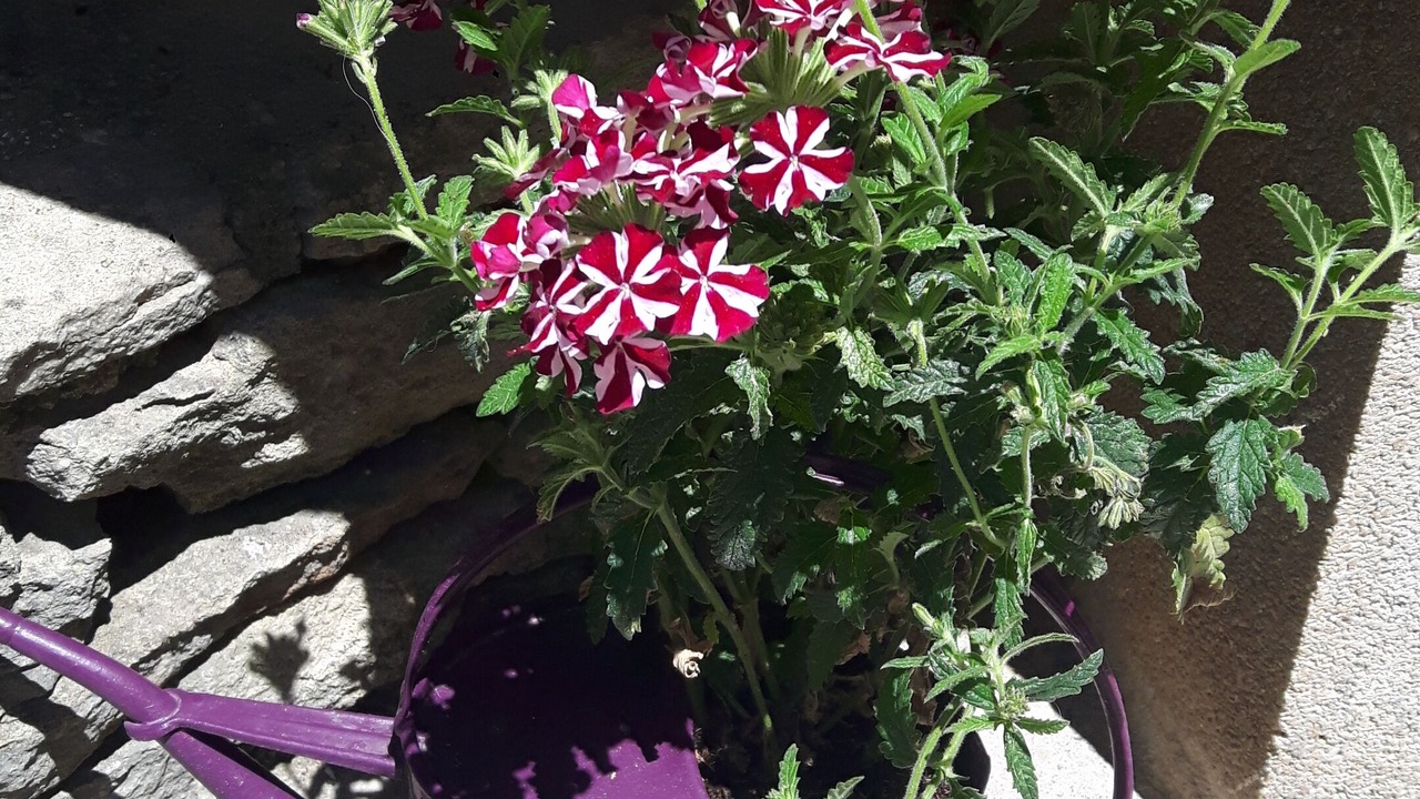 Photo of Outdoor in Donzere