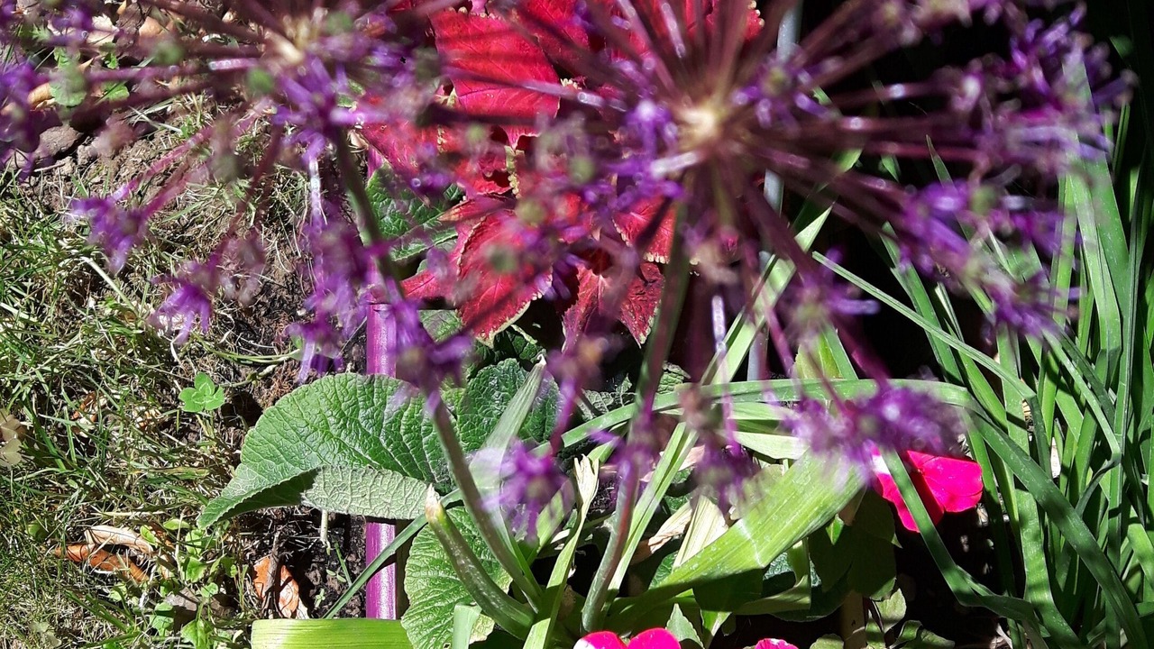 Photo of Outdoor in Donzere