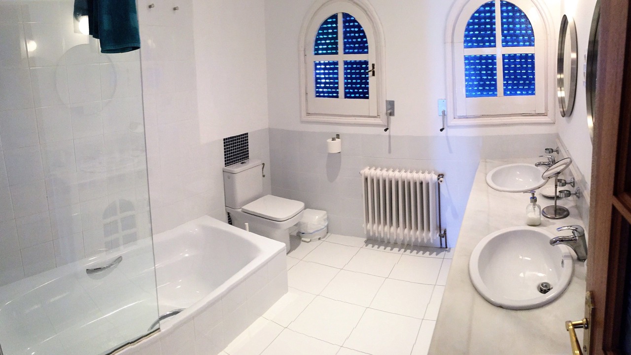 Photo of Bathroom in Pau