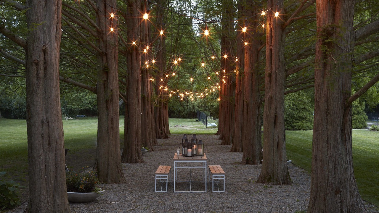 Photo of Outdoor in Bridgehampton