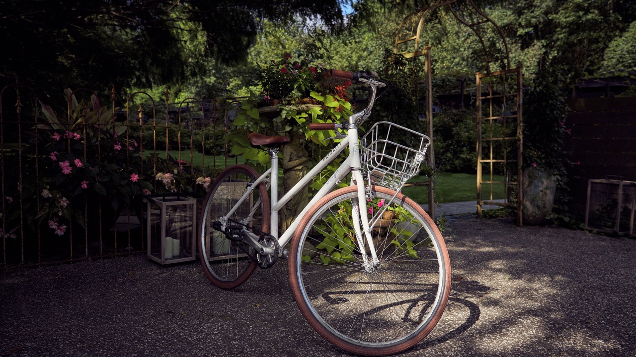 Photo of Outdoor in Bridgehampton