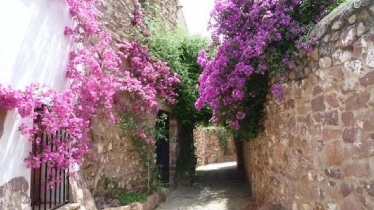 Photo of Outdoor in Vilafames