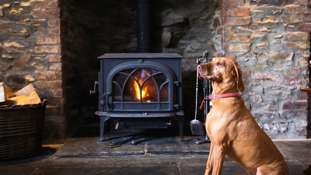 Photo of Others in Trispen