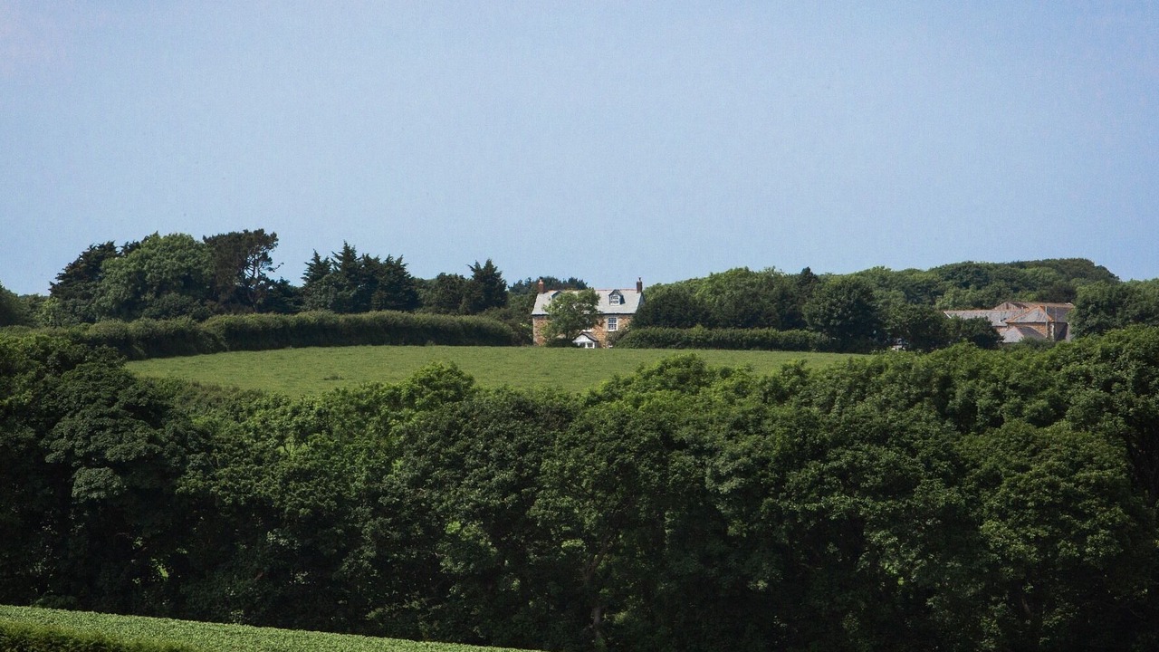 Photo of Others in Trispen