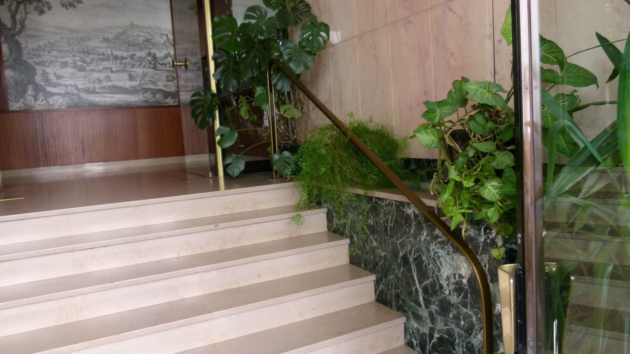 Photo of Others in Moliere - Edgard Quinet