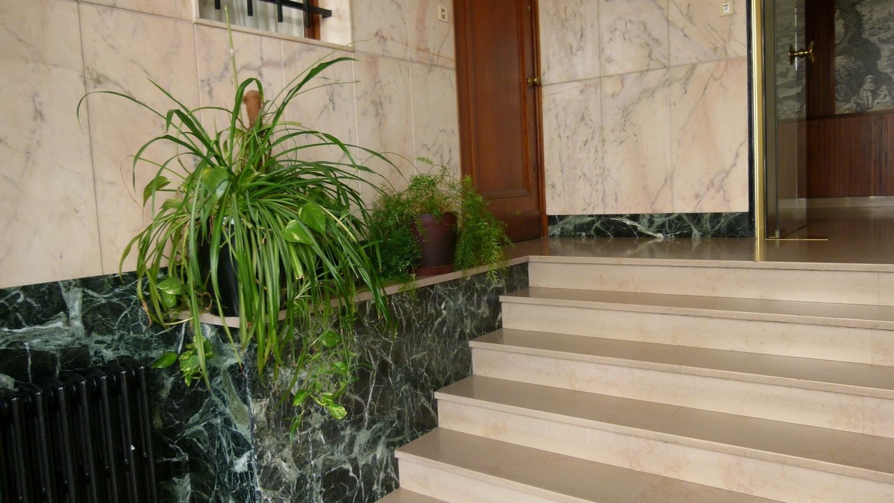 Photo of Outdoor in Moliere - Edgard Quinet