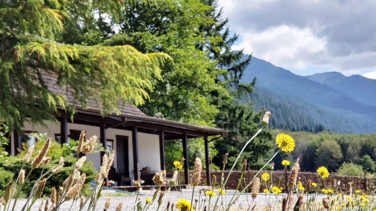 Photo of Outdoor in Ashford