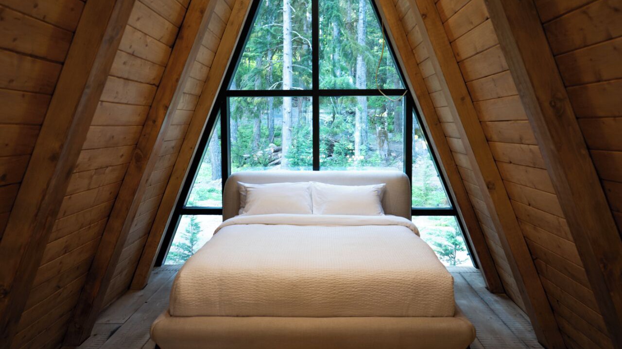 Photo of Others in Ashford