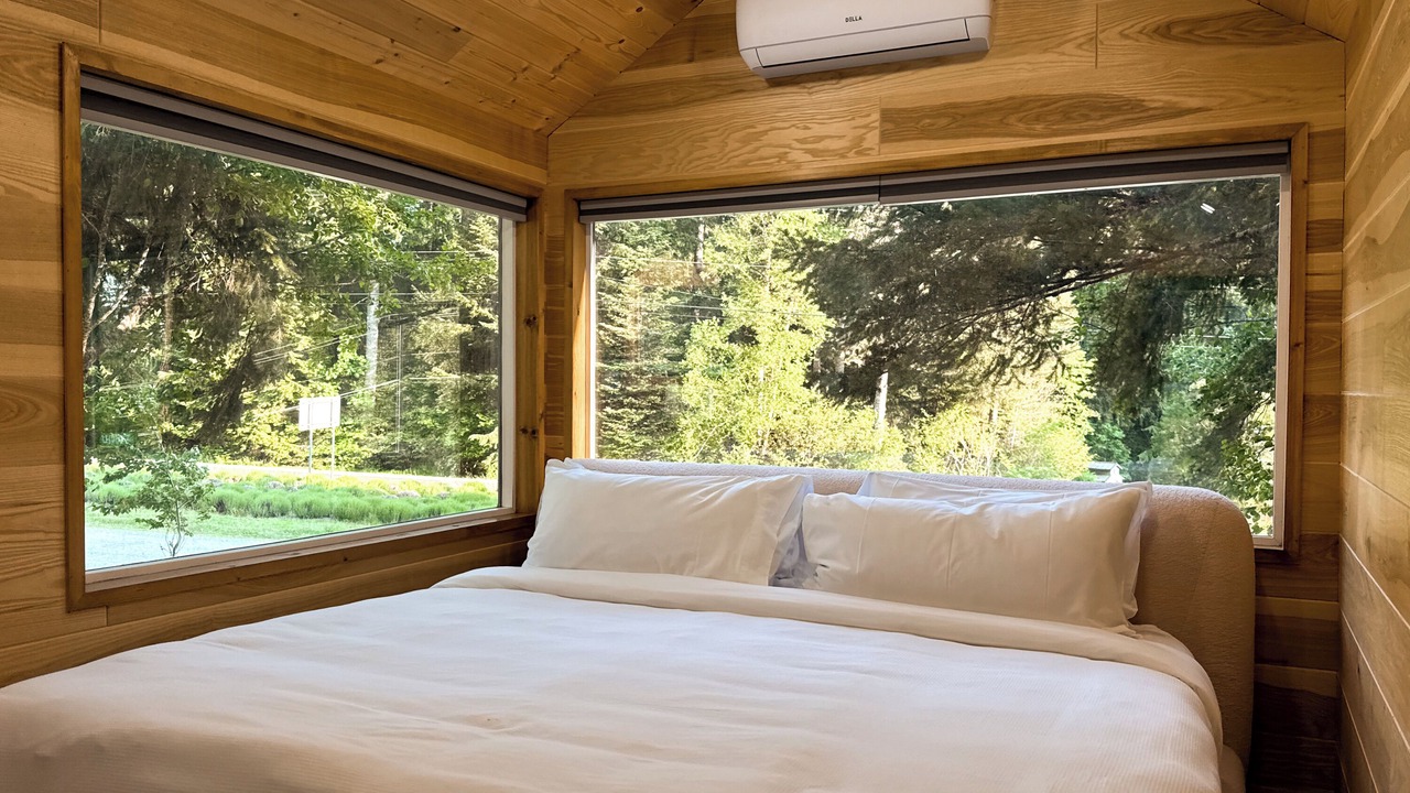 Photo of Others in Ashford