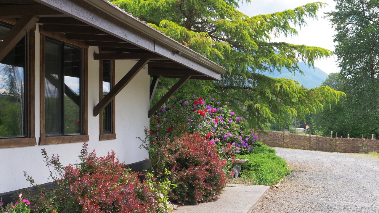 Photo of Outdoor in Ashford