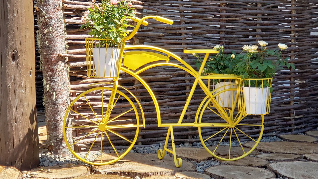 Photo of Outdoor in Ashford