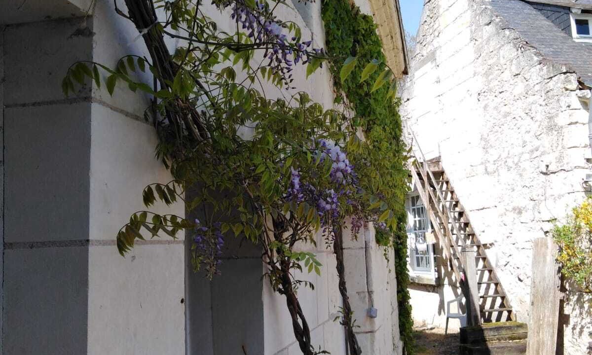 Photo of Outdoor in Benais