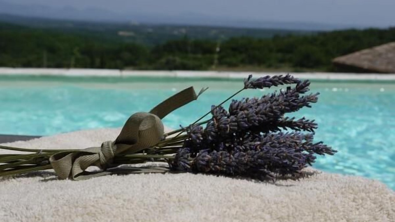 Photo of Outdoor in Reauville