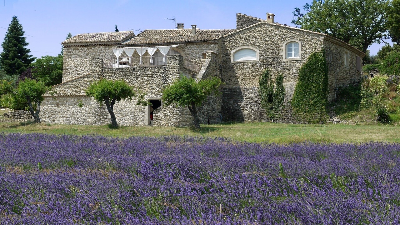 Photo of Outdoor in Reauville