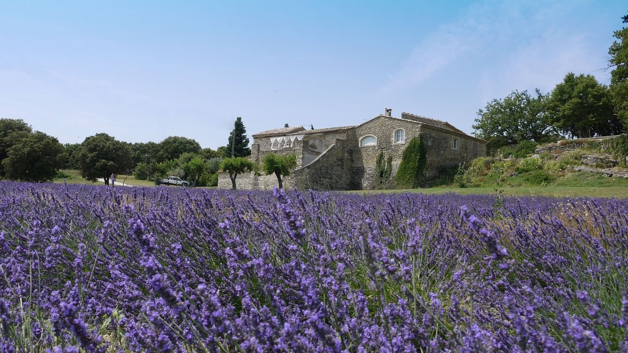 Photo of Outdoor in Reauville
