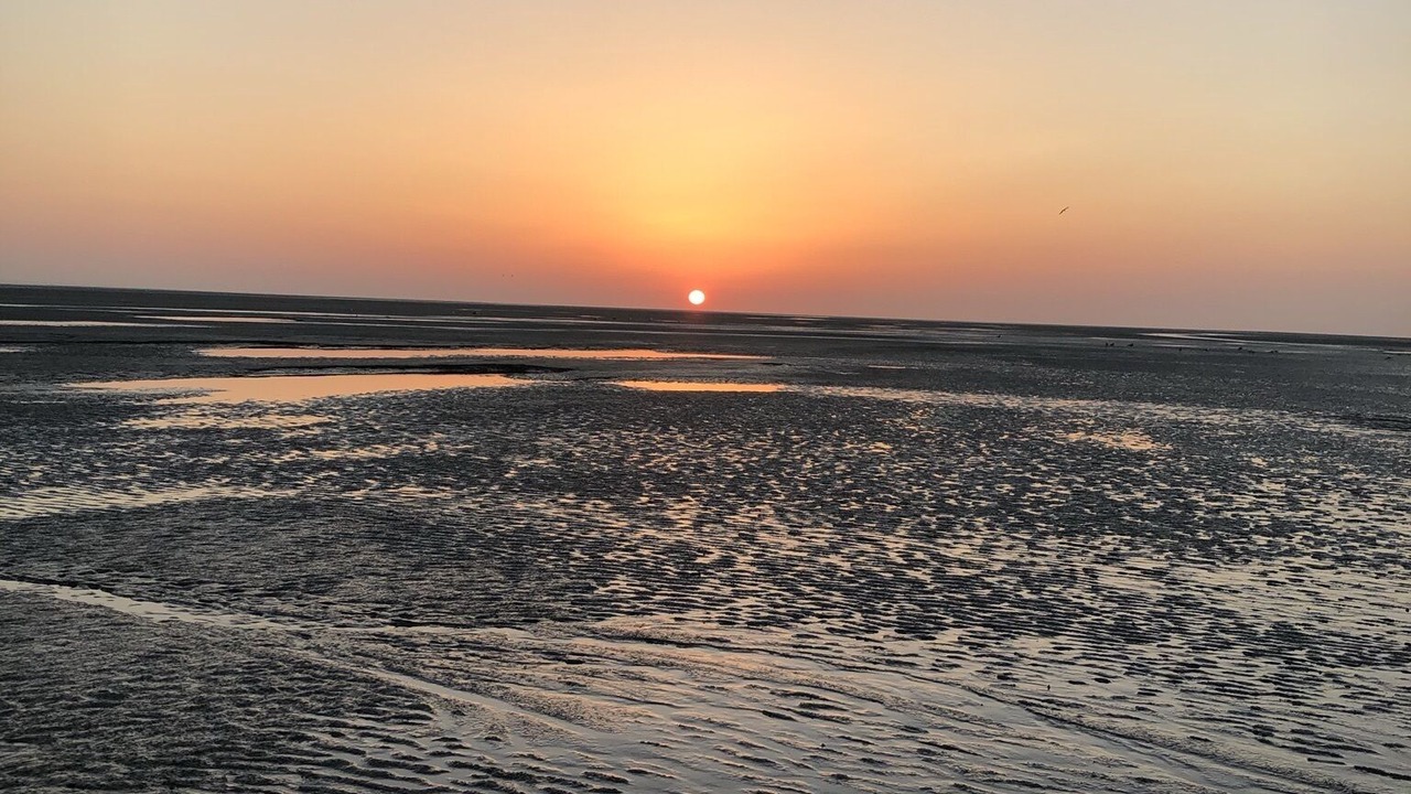 Photo of Others in Roz-sur-Couesnon