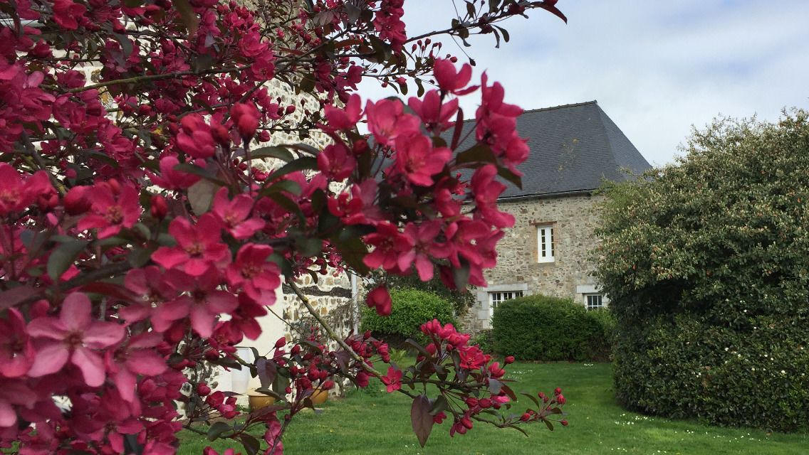 Photo of Outdoor in Lamballe