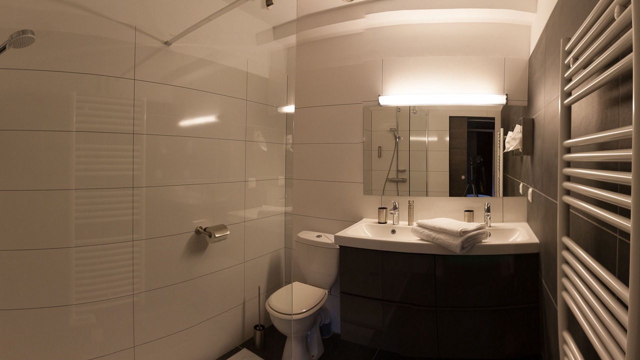 Photo of Bathroom in Rangueil-Sauzelong-Pech David-Pouvourville