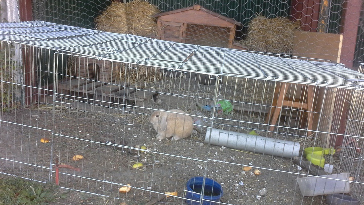 Photo of Outdoor in Saint-Pol-sur-Ternoise