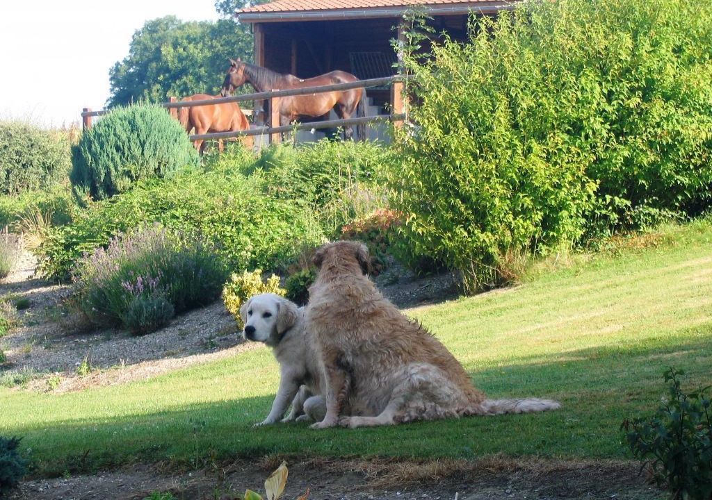 Photo of Outdoor in Saint-Pol-sur-Ternoise