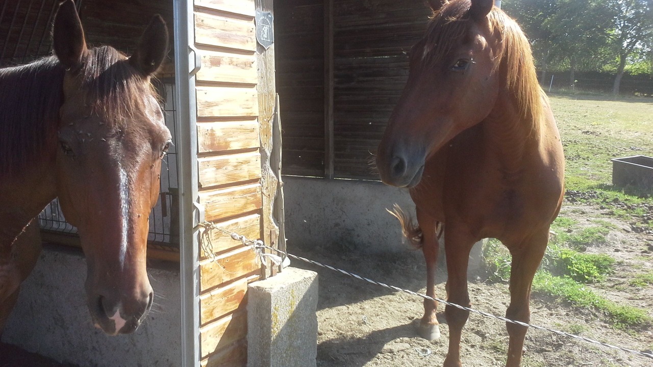 Photo of Outdoor in Saint-Pol-sur-Ternoise