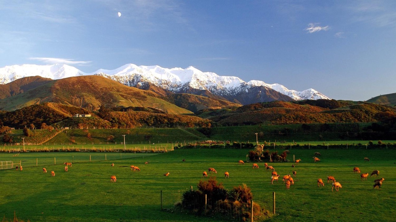 Photo of Outdoor in Hapuku