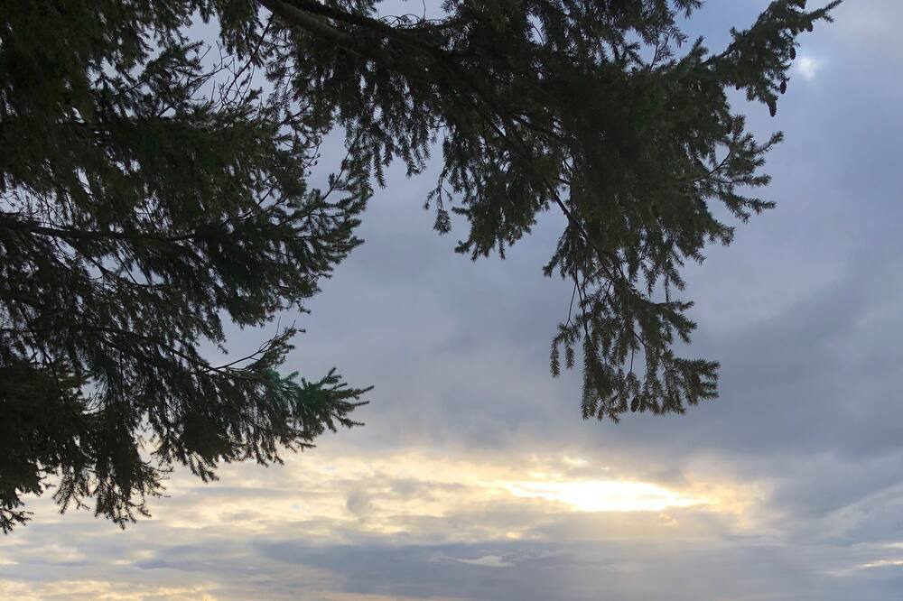 Photo of Others in Eastsound