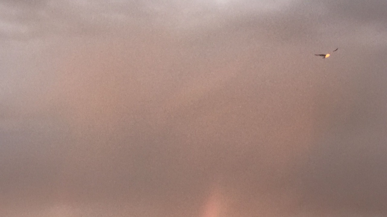 Photo of Others in Ocean Grove