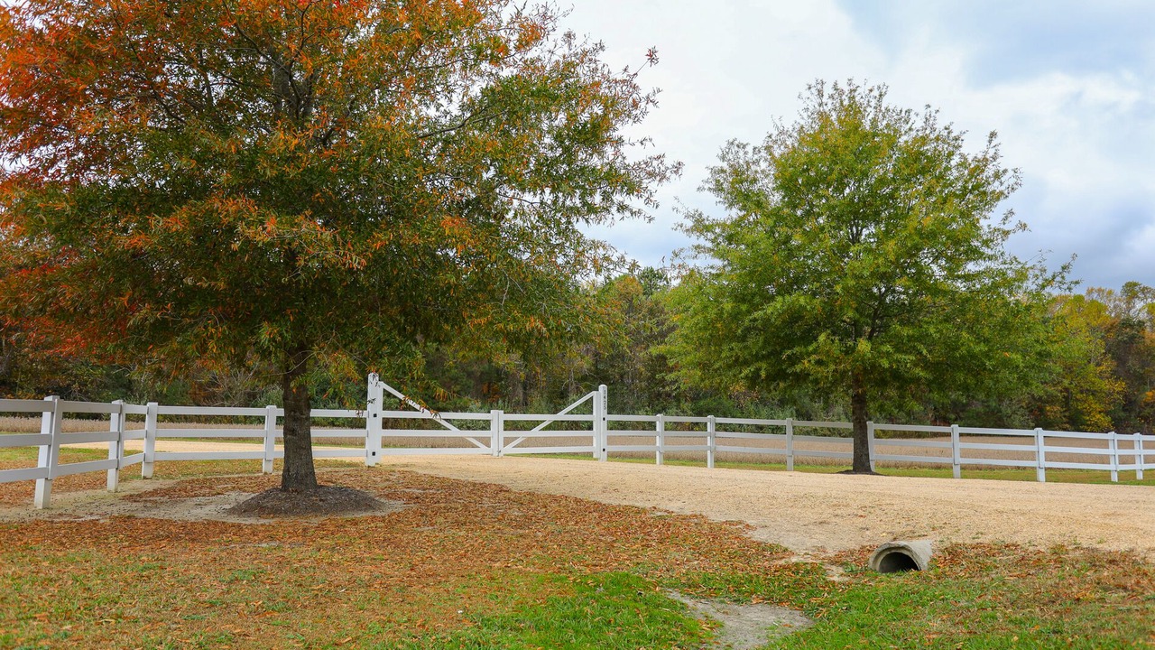 Photo of Outdoor in Hardyville
