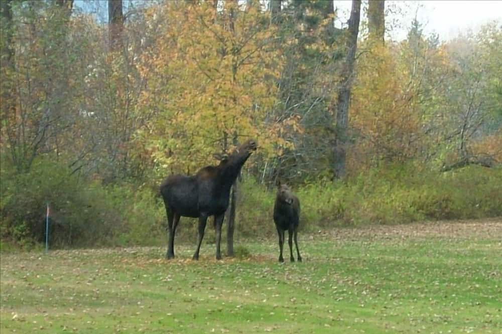 Photo of Others in Missoula