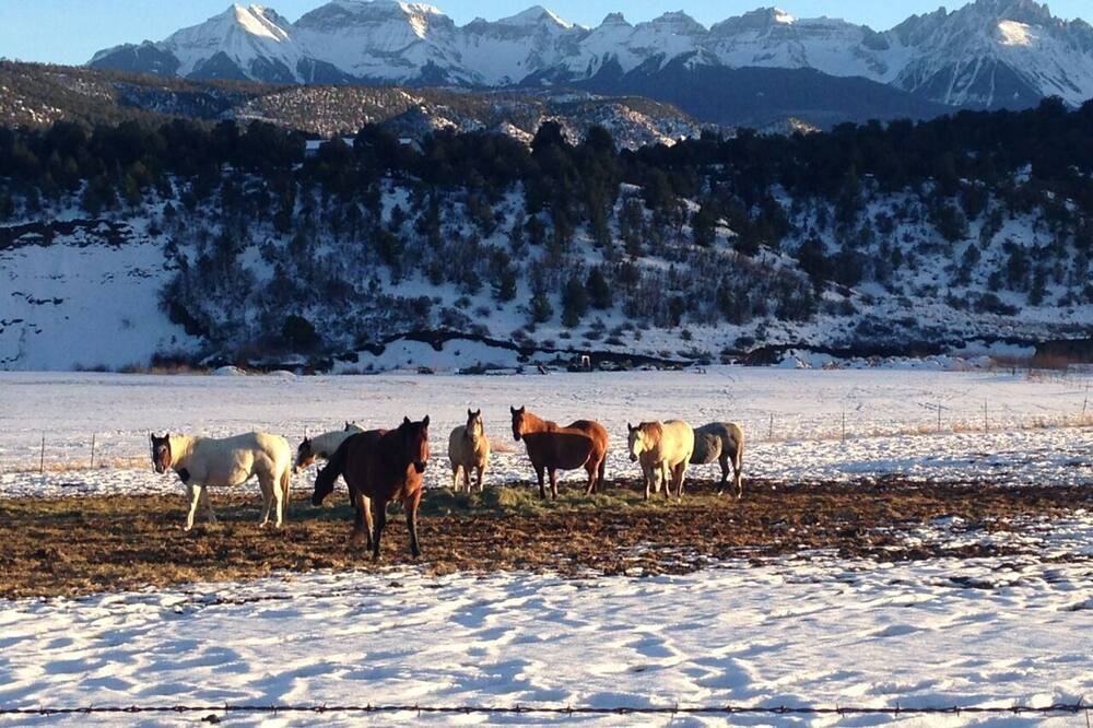 Photo of Others in Pleasant Valley