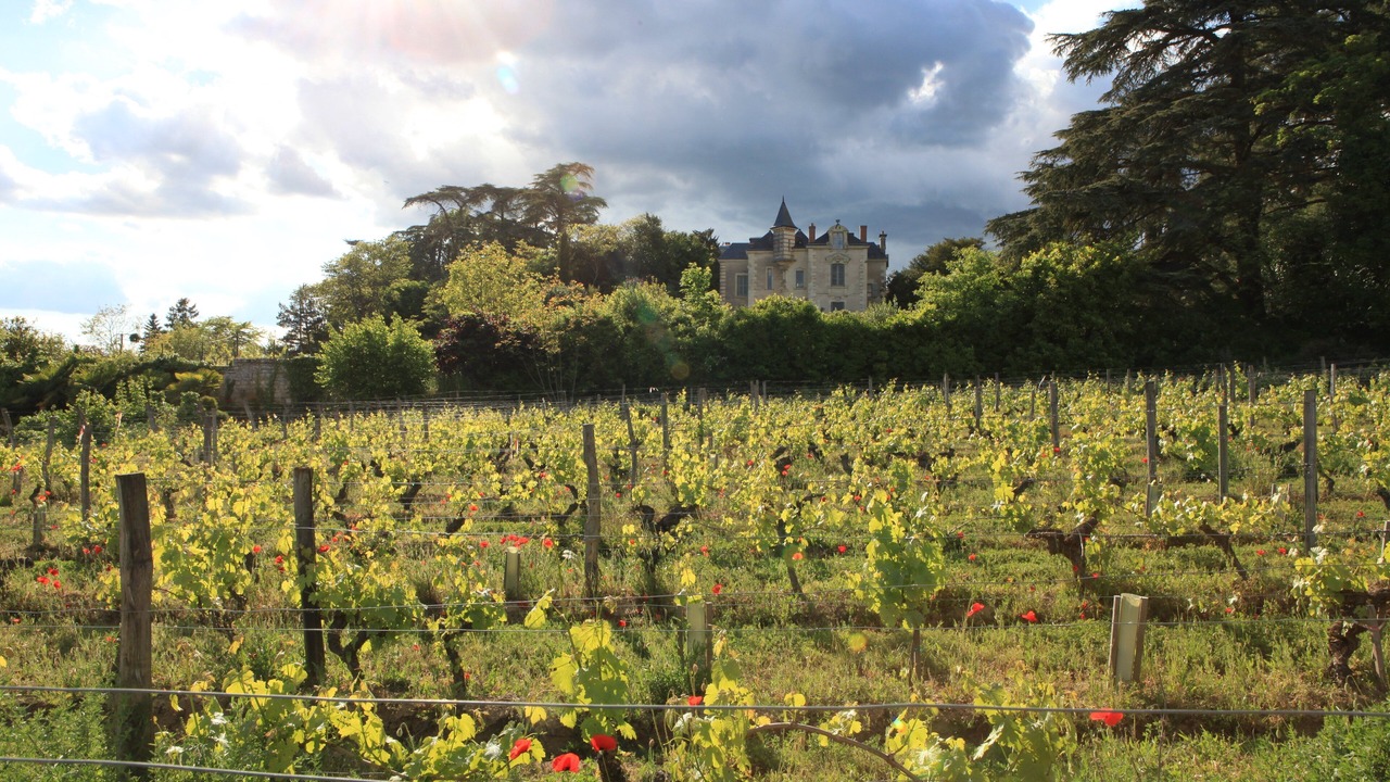 Photo of Outdoor in Chinon