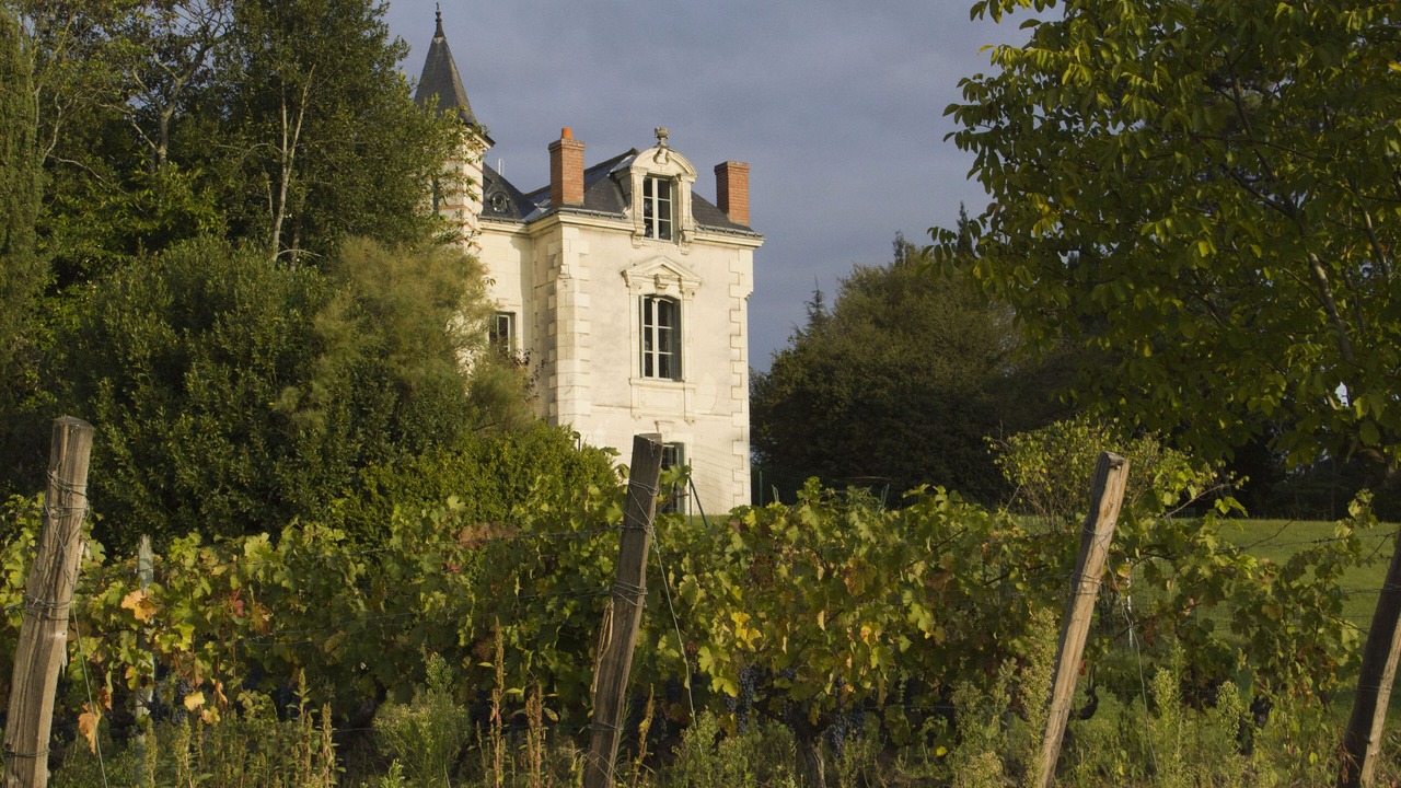 Photo of Outdoor in Chinon